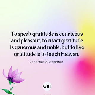 Gratitude quotes_17