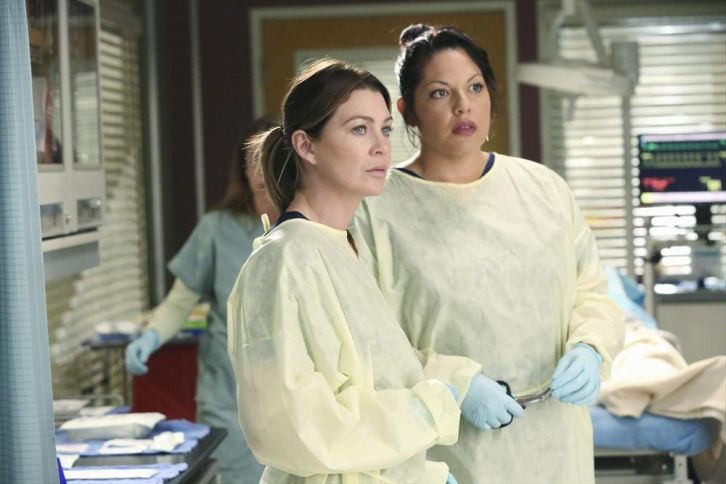 Grey's Anatomy - Episode 11.07 - Can We Start Again, Please? - Promotional Photos