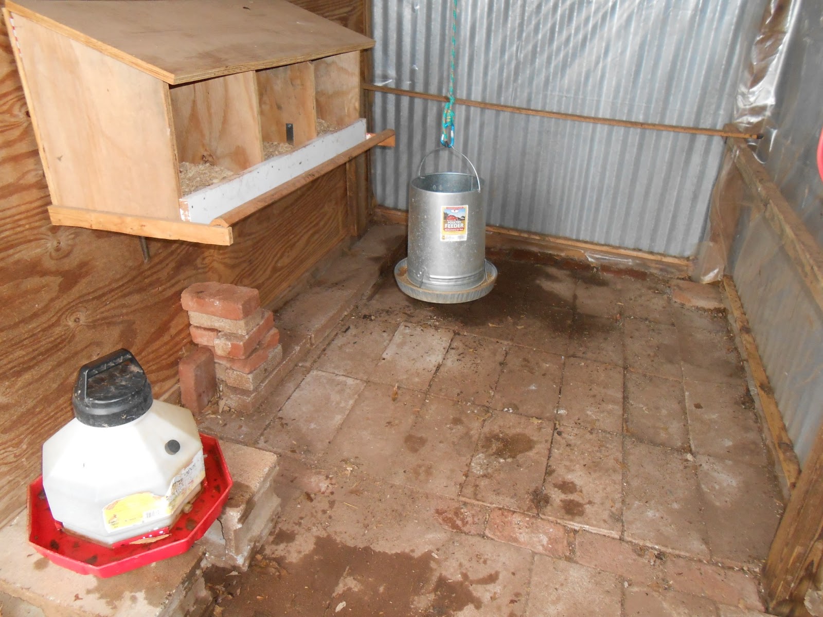 Windy Acres Diary Time to Clean the Hen House