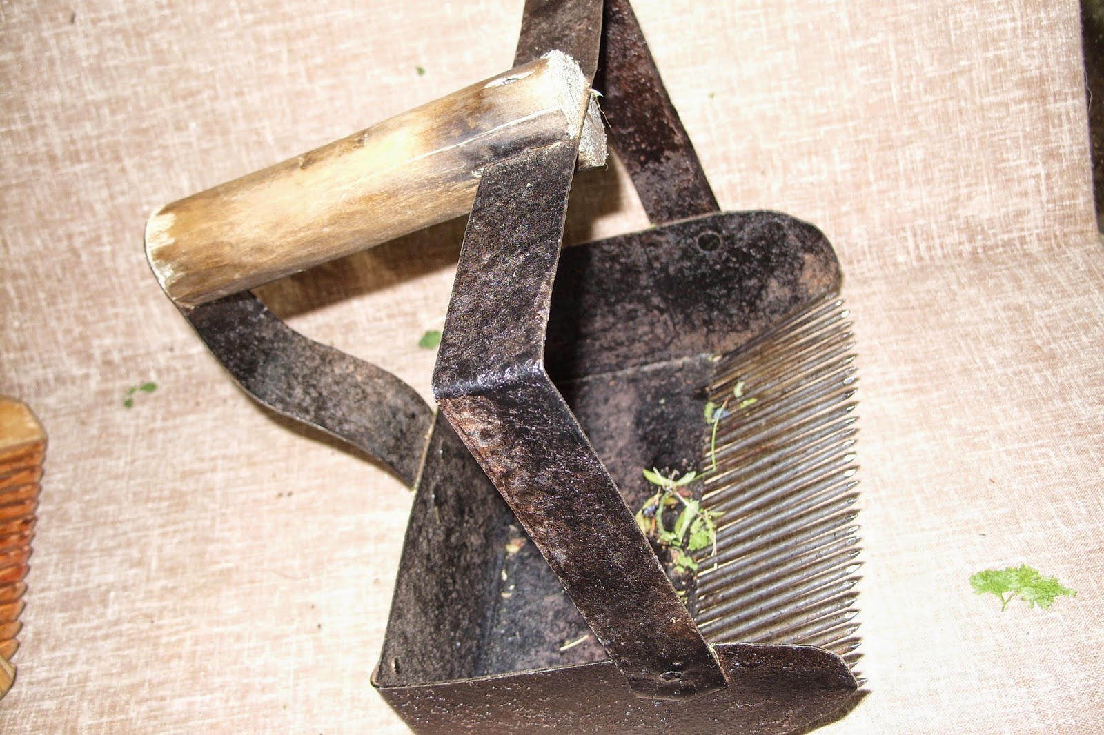 Homemade Blueberry Rake