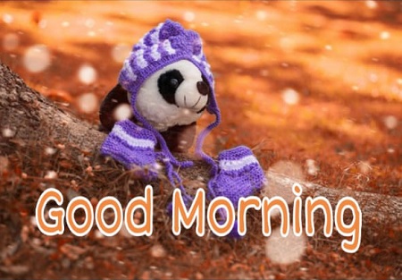 Good morning Images Good morning Images