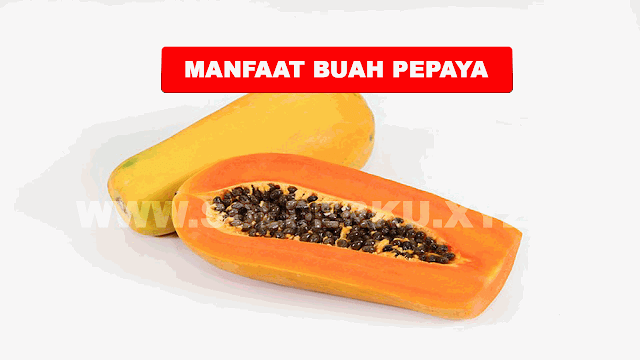 MANFAAT BUAH PEPAYA