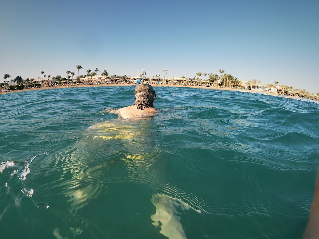 Wild swimming - noiembrie, Sharm, Egipt