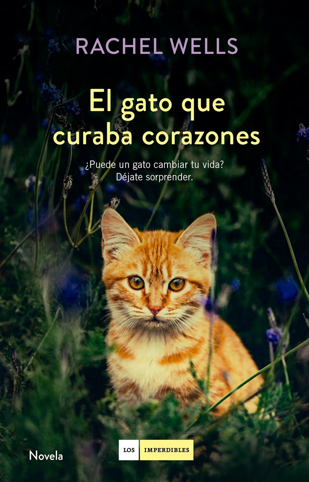 El templo de la lectura: El gato que curaba corazones - Rachel Wells
