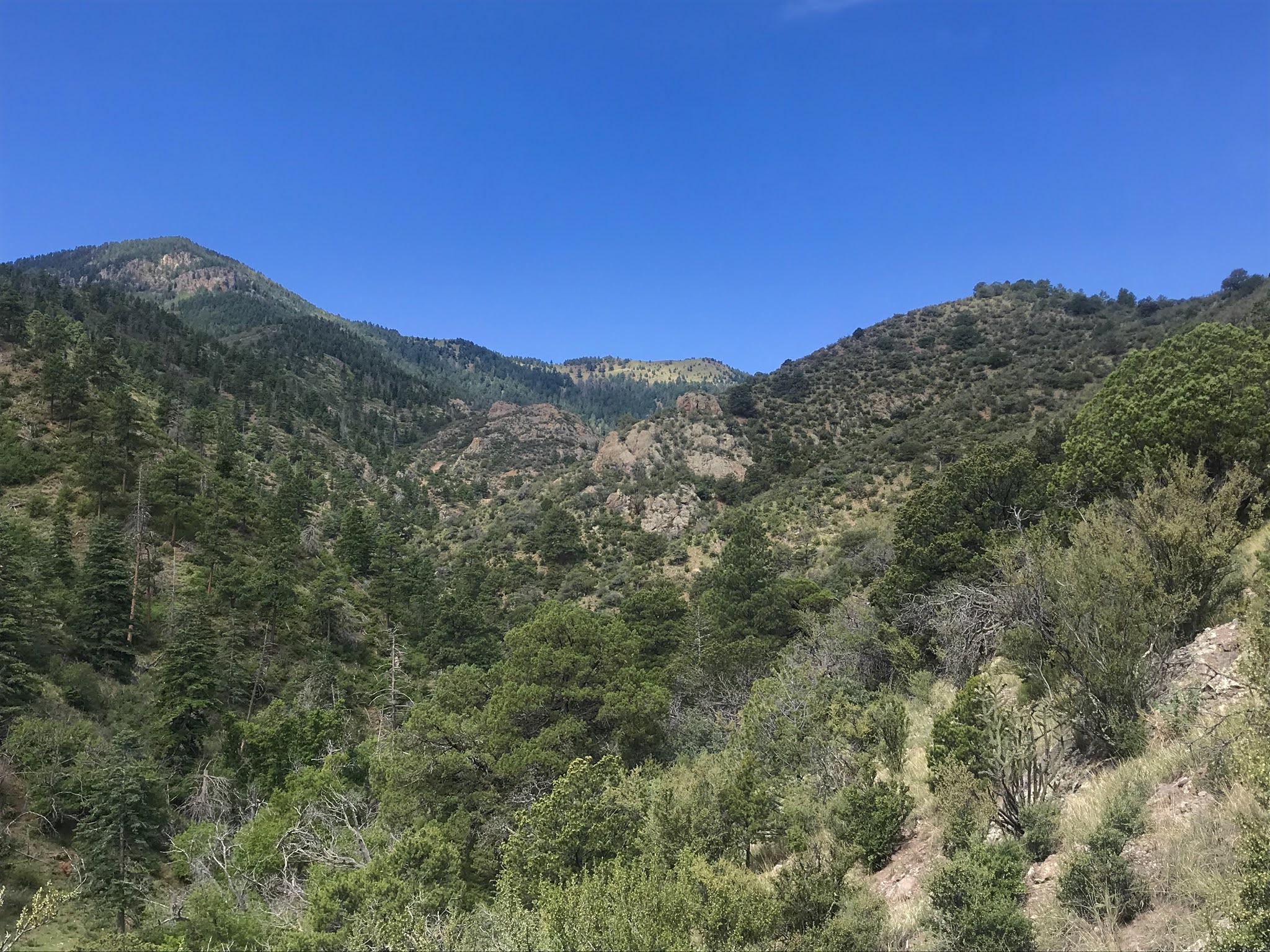 Southern New Mexico Explorer Magdalena Mountains, Cibola National