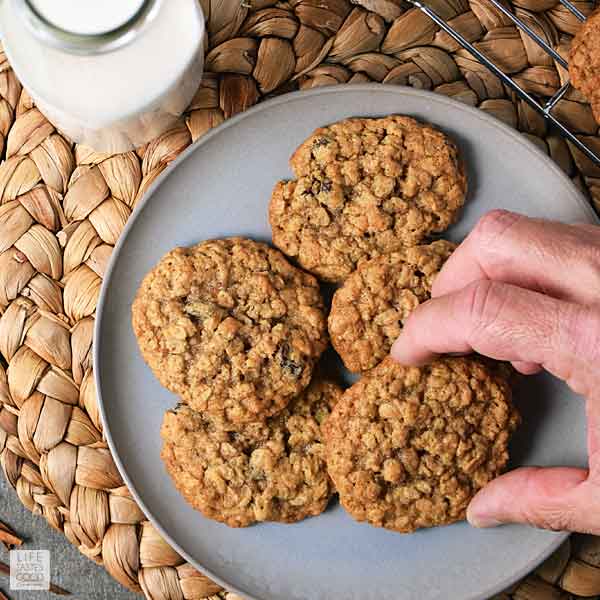 Quaker Oatmeal Cookies Recipe Life