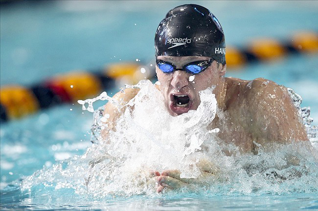 Nama Induk Organisasi Renang Di Indonesia Adalah