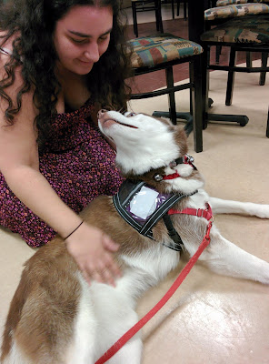 My therapy dog Icy and I visit a local college to help students relieve the stress of mid terms and finals