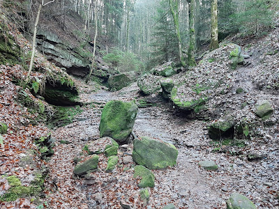 Der Schwarzwald und seine Natur Der Rundwanderweg 