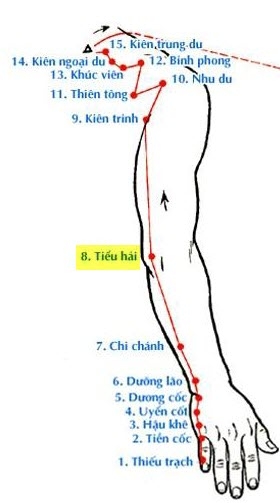 huyệt tiểu hải