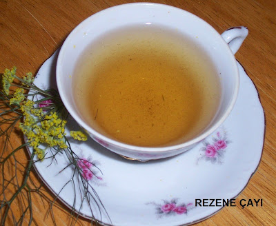 rezene çayı ve rezene çayının faydaları