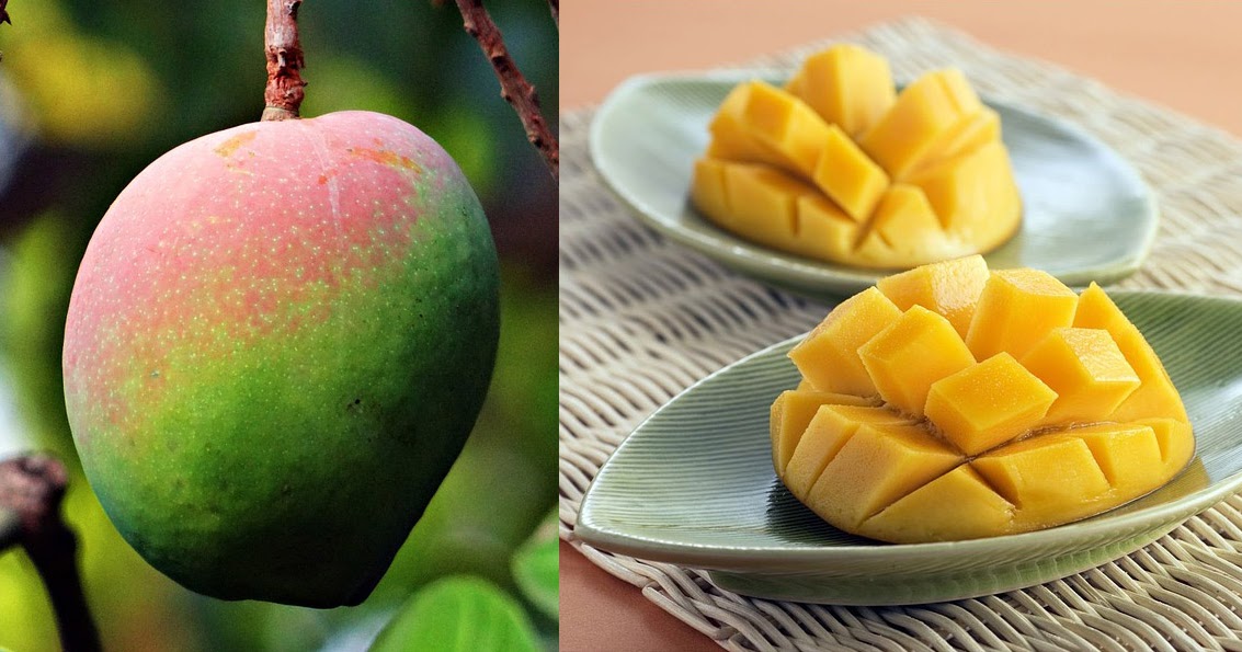 Mangoes Might Be The Ultimate Superfood For Diabetes New Science Finds