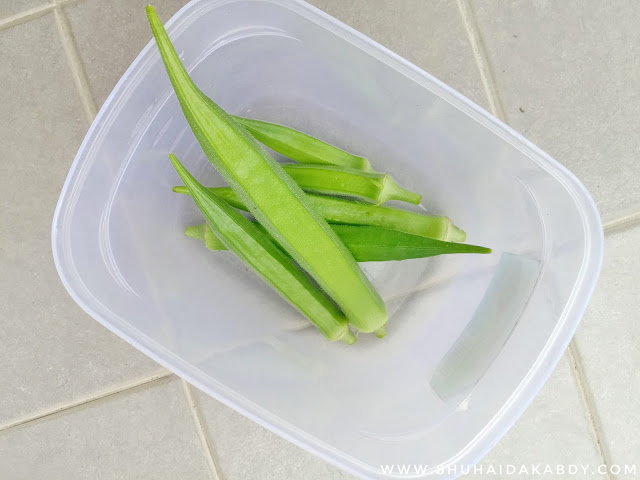 Kebun Mini Kami Kebun Mini Kami