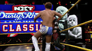 [IMAGE:https://1.bp.blogspot.com/-Dckcw3zSOgM/XPBTT0Pa8hI/AAAAAAABQNc/Z_Fltk8AI1gMXX5LEghExOHbV-Q1jMTAwCLcBGAs/s1600/Corner%2BRoundhouse%2BKick.gif]