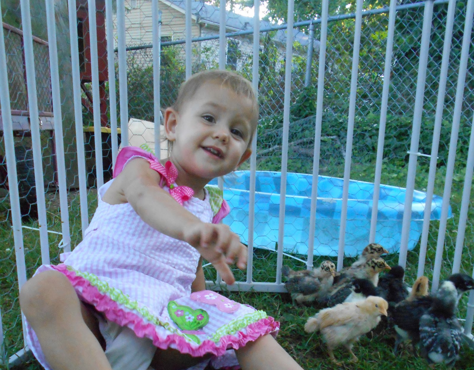 The Root Children Farm Babies