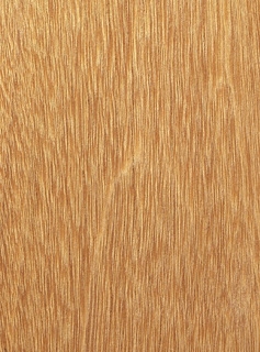 Desain dan Produksi kayu Petanang