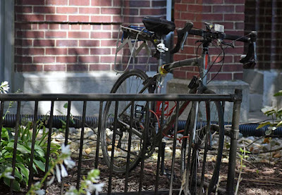 Bike near Warde Hall