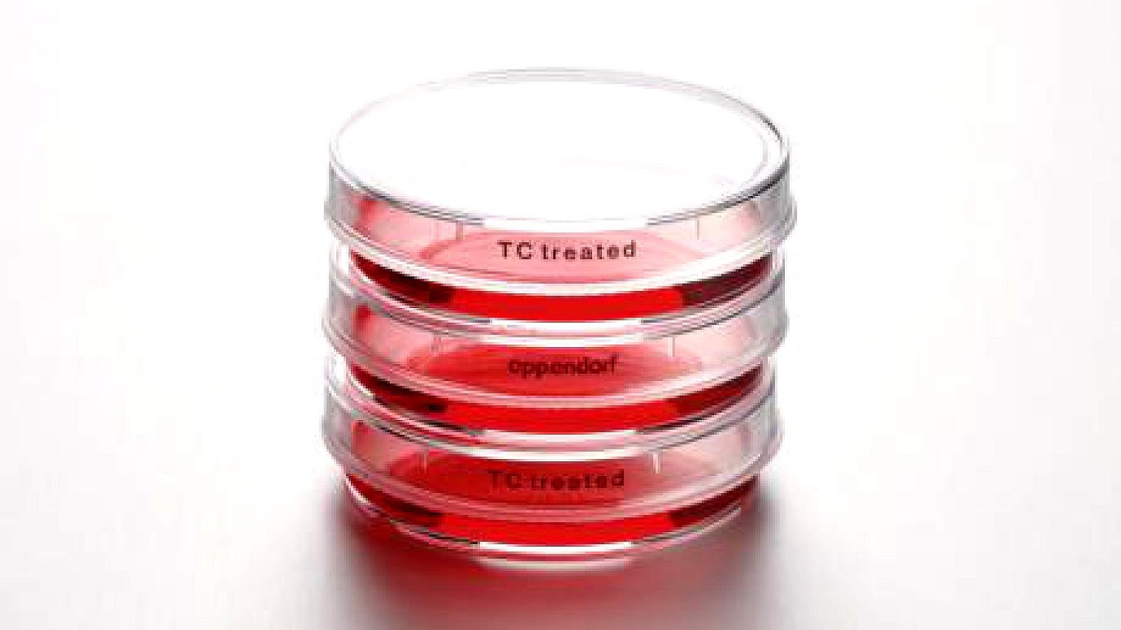 Cell Culture Dishes Dish Choices