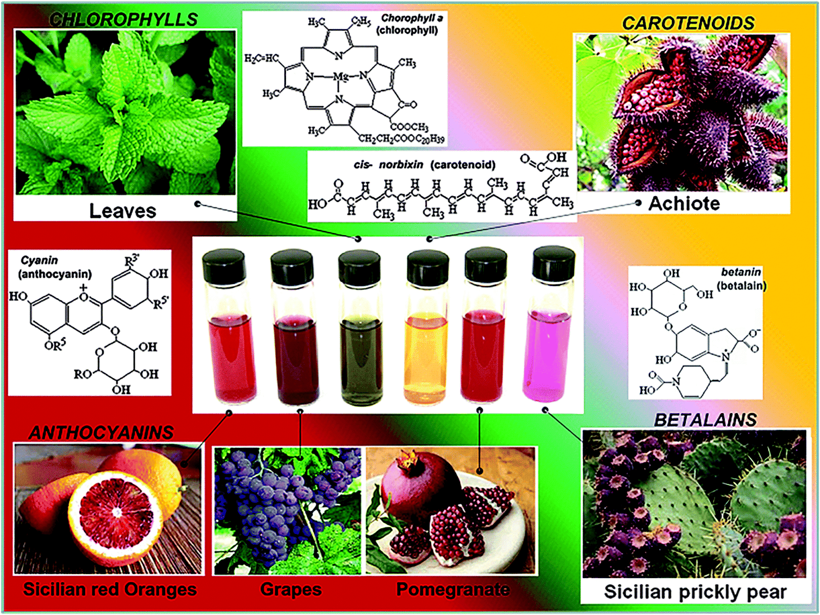 KIMIA BAHAN ALAM Potensi Pemanfaatan Flavonoid untuk makhluk hidup