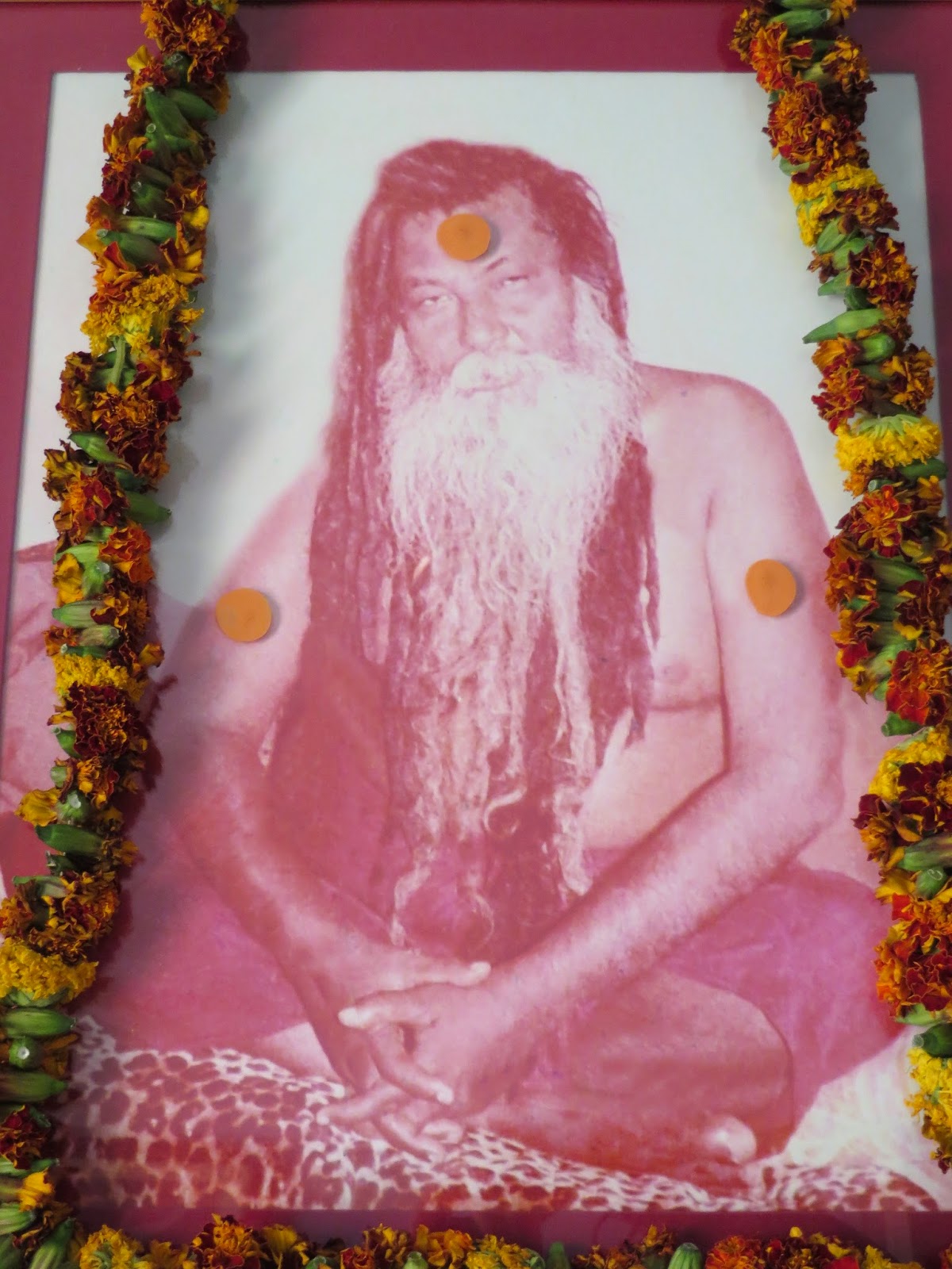 Waltzing Horses: 41st Pahari Baba Ashram Birthday
