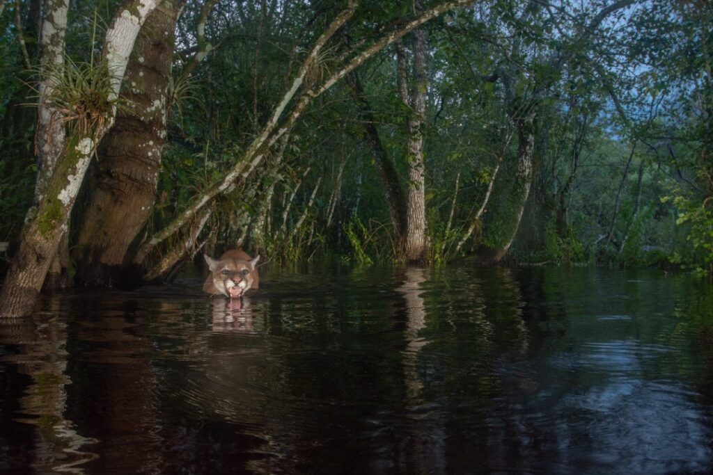 Técnicas de supervivencia en la naturaleza