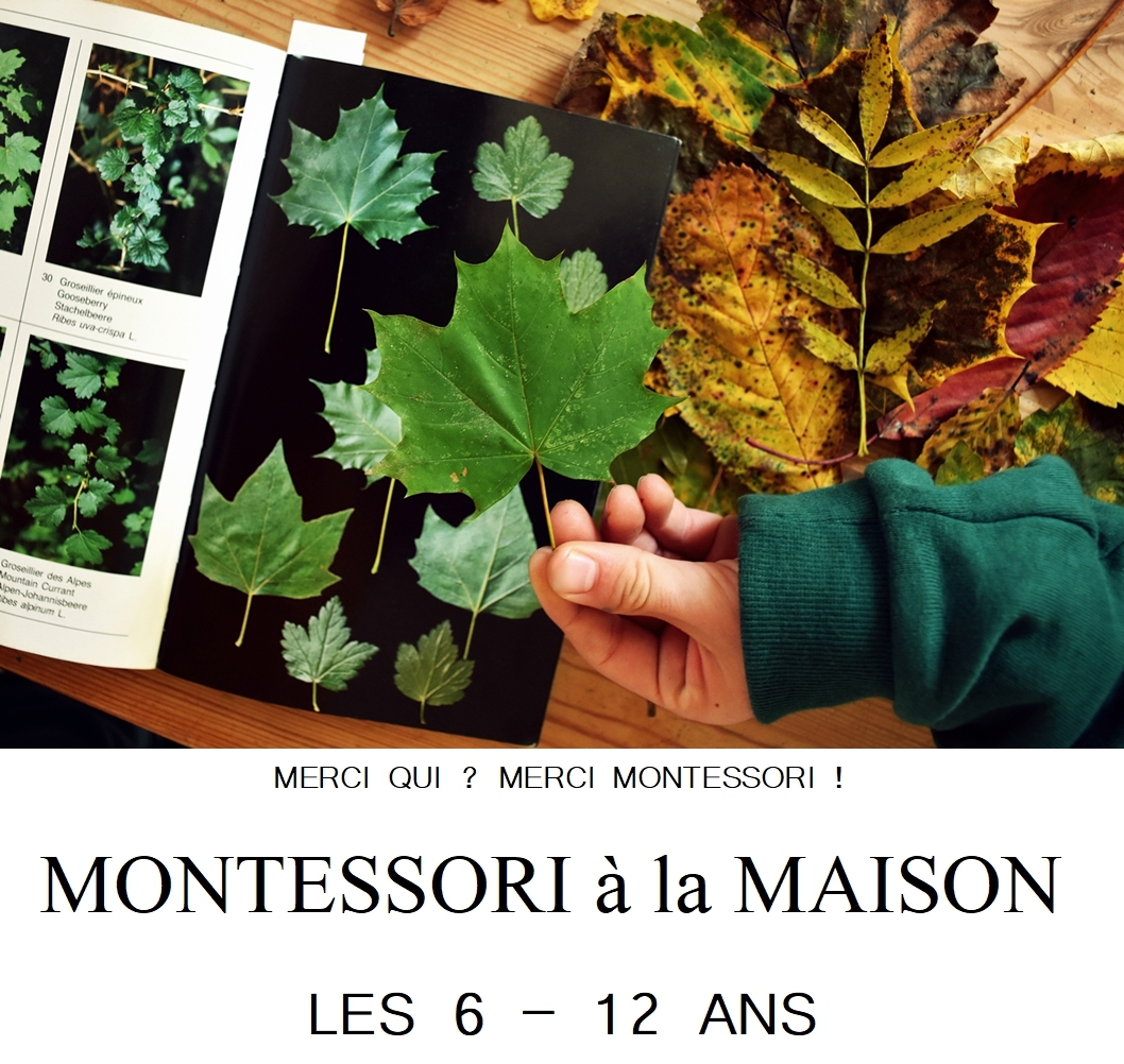 9 propositions de Matériel Montessori pour un enfant de 6 à 12 mois 