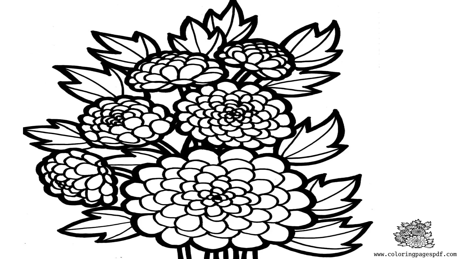 Coloring Page Of Six Beautiful Flowers