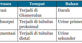 Jawaban Hal 118 Ipa Kelas 8 Semester 2 - 40+ Kunci Jawaban Bahasa