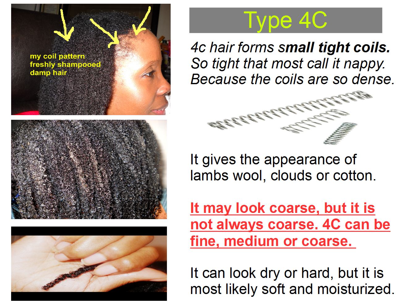 Coilyqueens How To Figure Your Curl Type