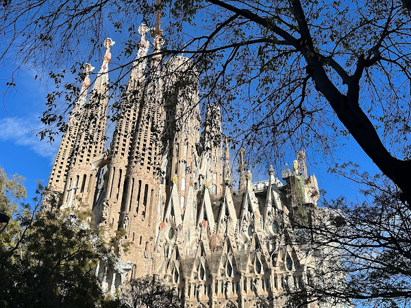 How to take the stress out of booking tours in Barcelona 