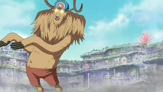 ワンピースアニメ チョッパー モンスターポイント Tony Tony Chopper Monster Ponit
