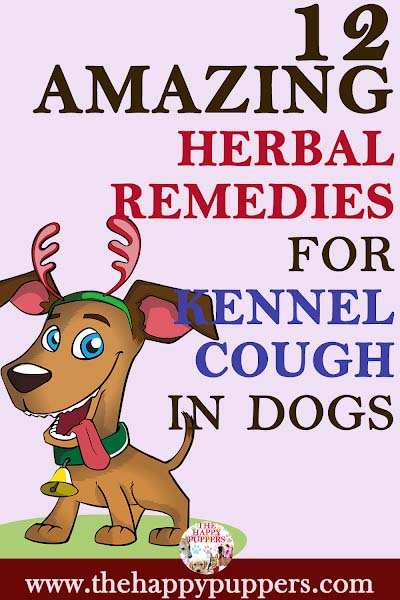 Herbal remedies for kennel cough in dogs