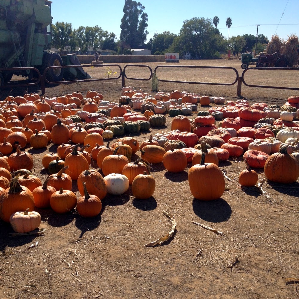 Crazy Little World Of Mine: October 2014