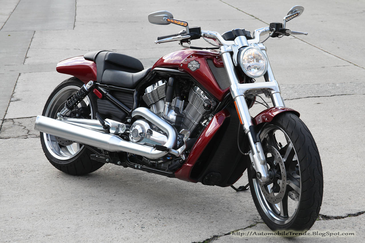 Automobile Trendz: 2009 Harley Davidson VRod Muscle