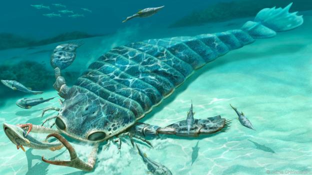 Yuk Mengenal Scp 169 Hewan Purba Terbesar Di Dunia Bagian 1