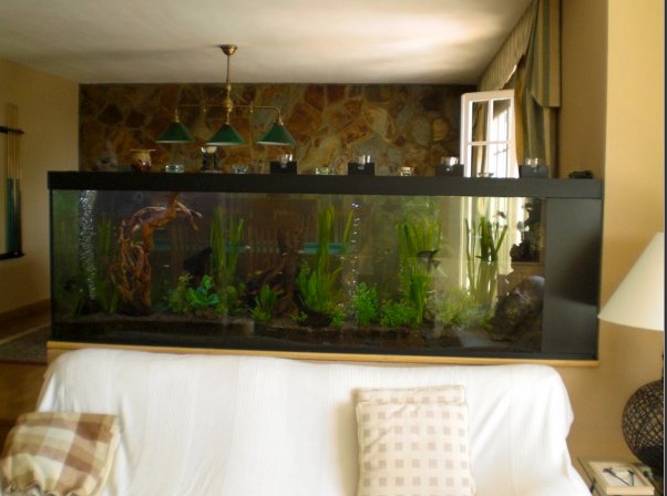 DecorArmonia: Acuarios a medida