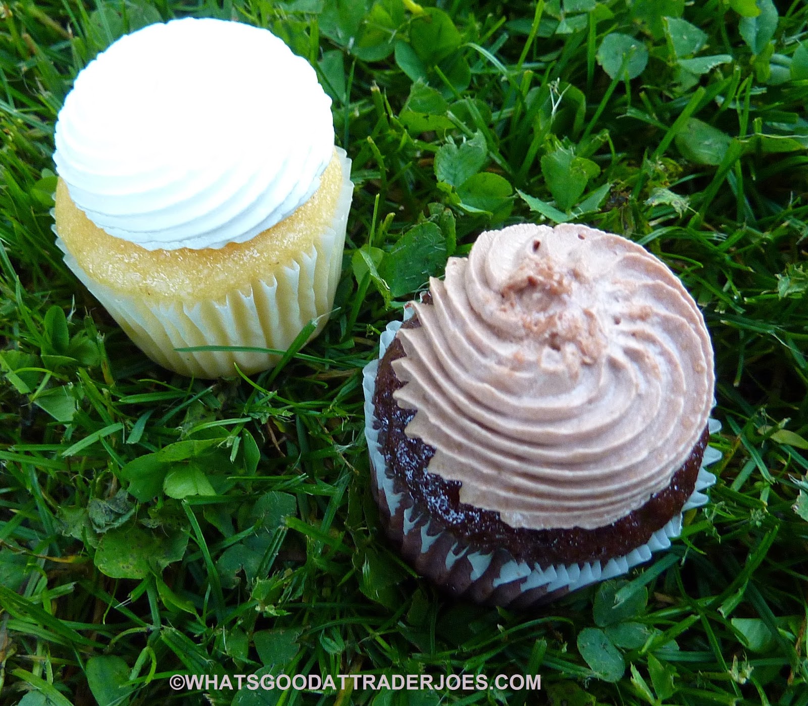 What's Good at Trader Joe's? Trader Joe's Gluten Free Mini Cupcakes