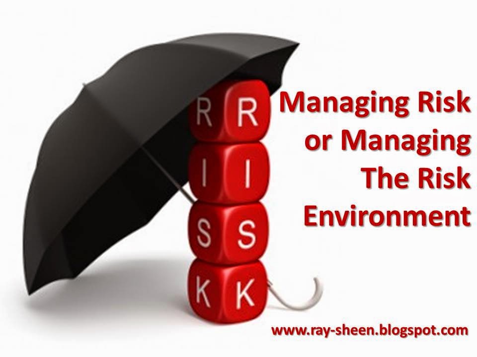 Ray Sheen Managing Risk or Managing the Risk Environment