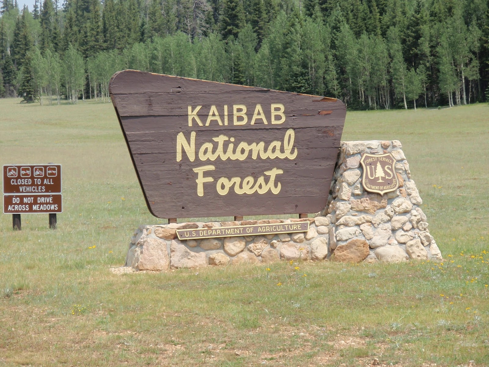 Dian's Timpanalley Kaibab National Forest