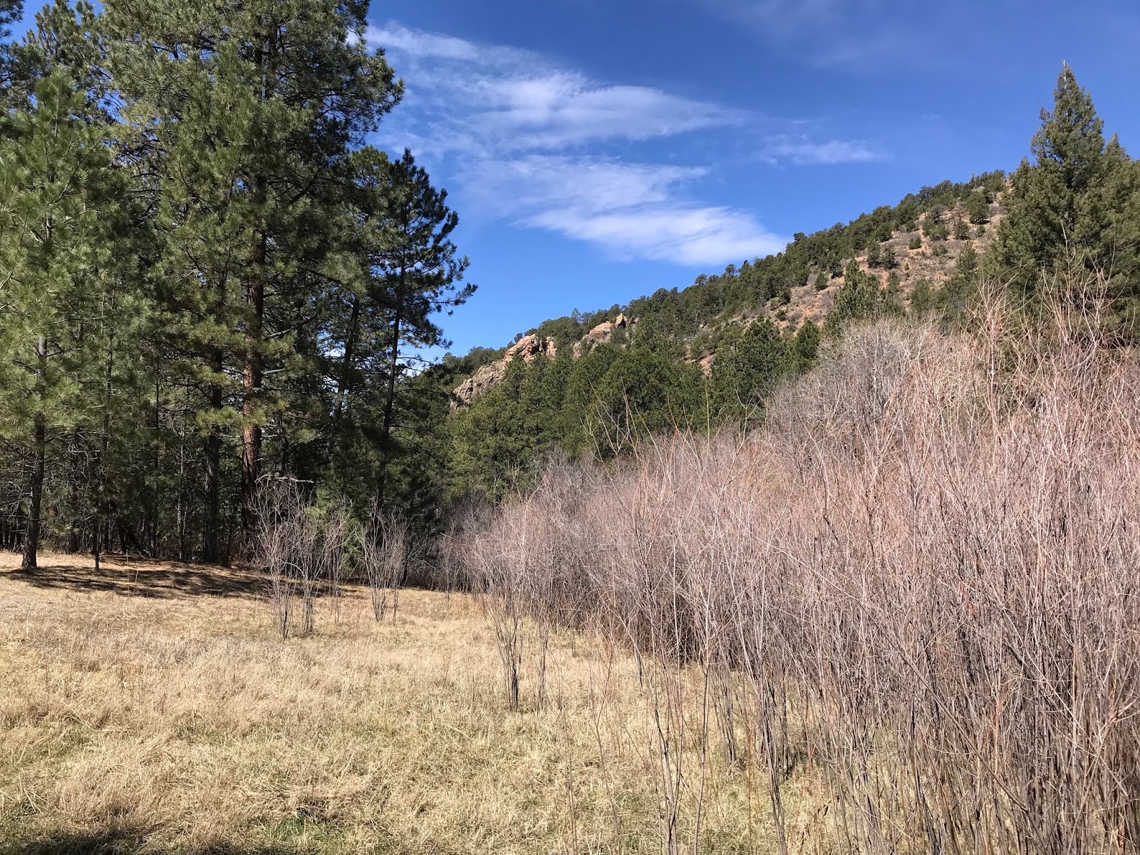 Southern New Mexico Explorer Winsor Trail (FT 254), Chamisa Trail ( FT