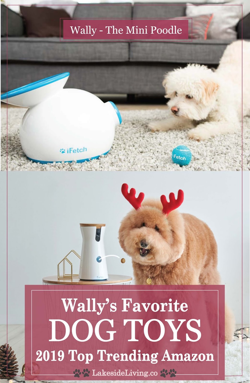 Gadgets to Keep Your Best Friend Happy 'Dog Toy Review'