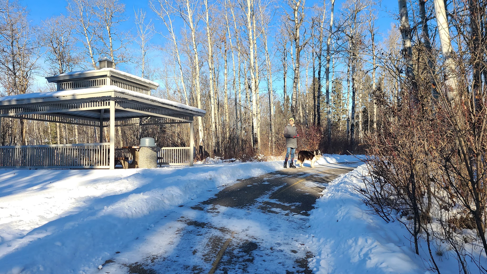 Walking Trails near Alberta December 2, 2020 Walk from