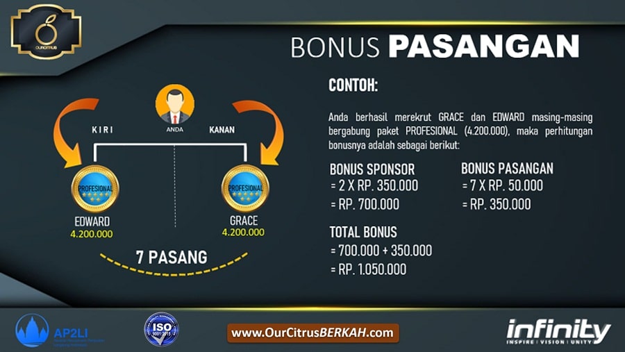 11.Marketing Plan Ourcitrus