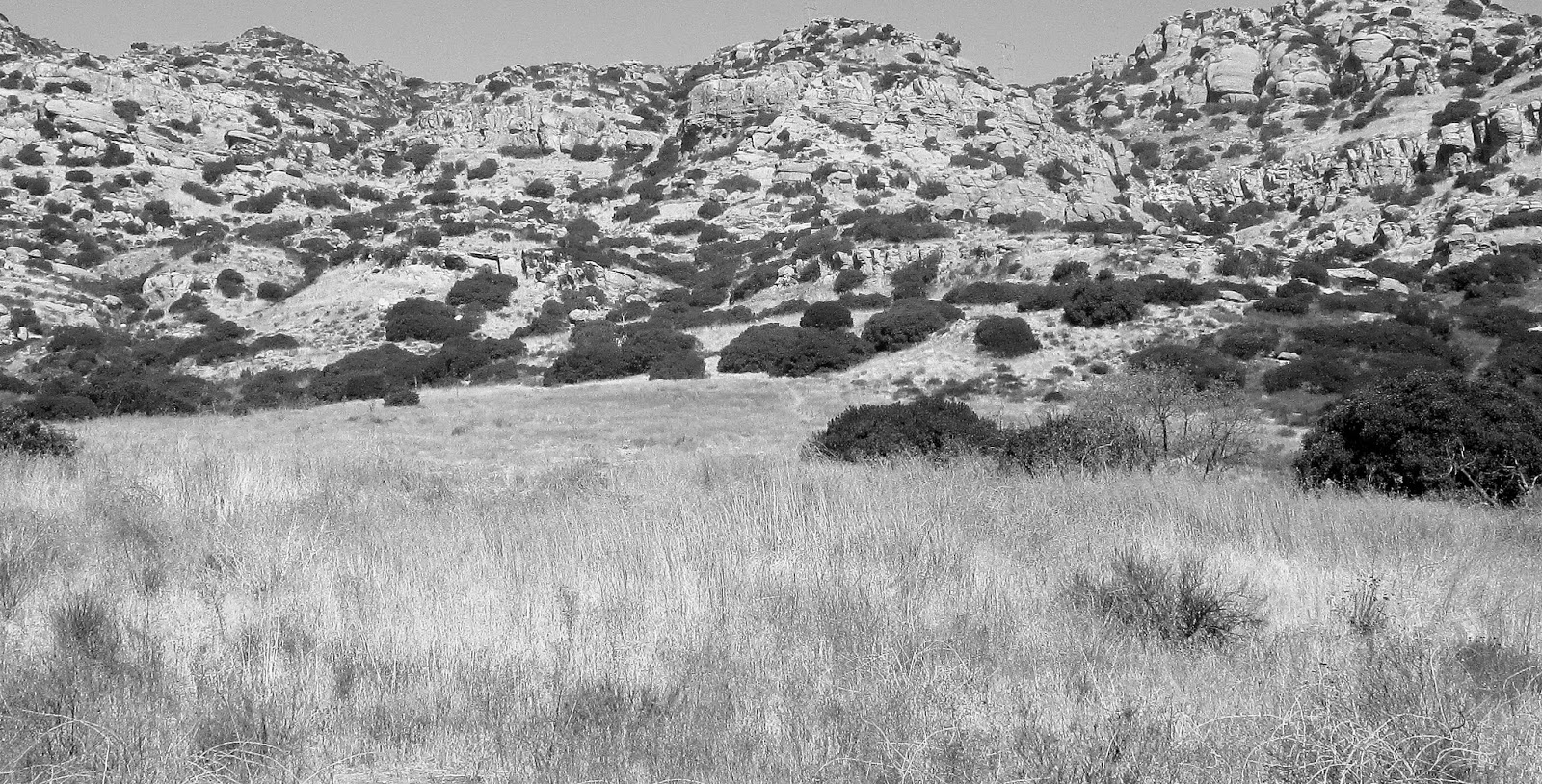 Bump Baby And Breaking News