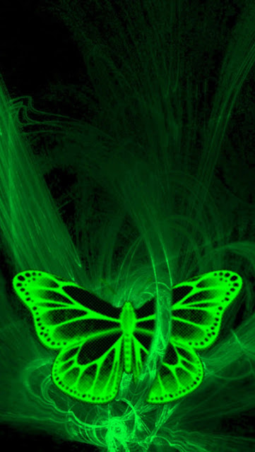 iPhone 5 Wallpaper - Green Butterfly