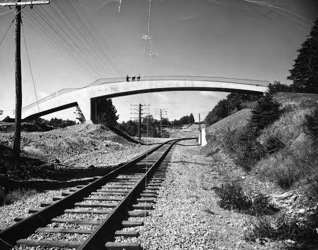 Van Ginkel Footbridge, 1962