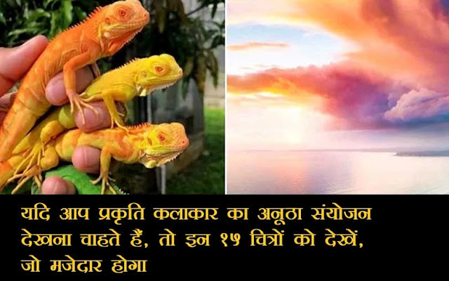 यदि आप प्रकृति कलाकार का अनूठा संयोजन देखना चाहते हैं, तो इन 15 चित्रों को देखें, जो मजेदार होगा यदि आप प्रकृति कलाकार का अनूठा संयोजन देखना चाहते हैं, तो इन 15 चित्रों को देखें, जो मजेदार होगा