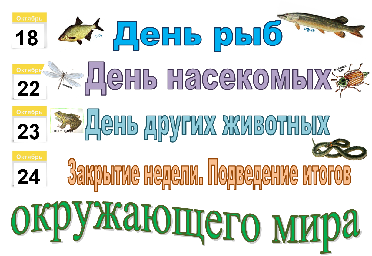 Рыбные дни в великий. Международный день рыбы. Рыбы день рождения даты. С днем рождения рыба. Таблетка выходного дня для рыб.