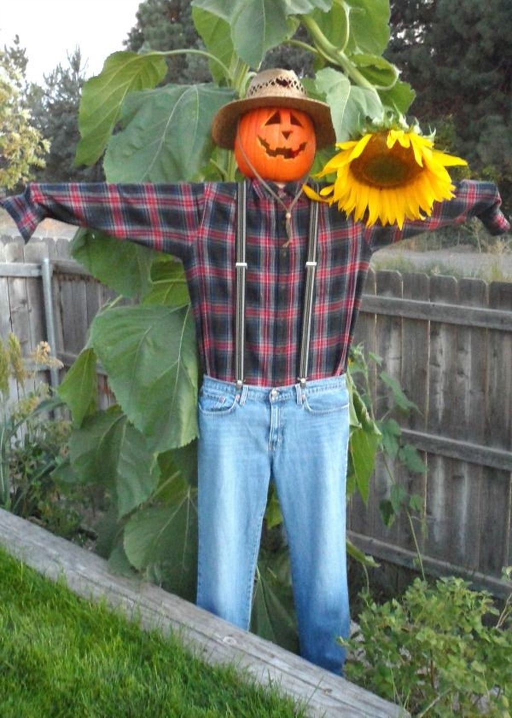 20+ Fabulous Garden Scarecrow Ideas