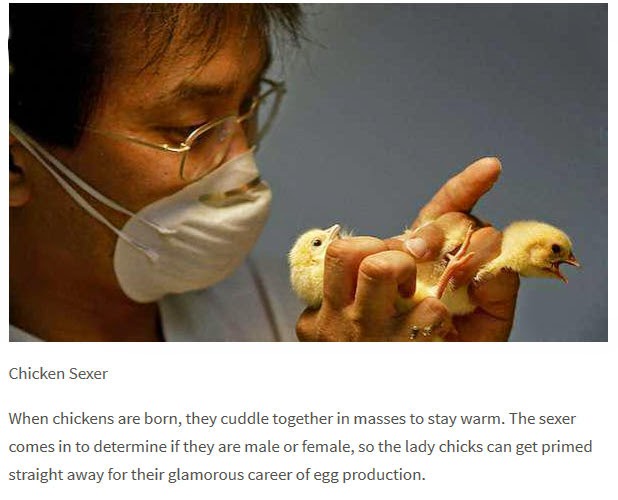 best-sexer-xxx-hot-napelie-girls-fucking